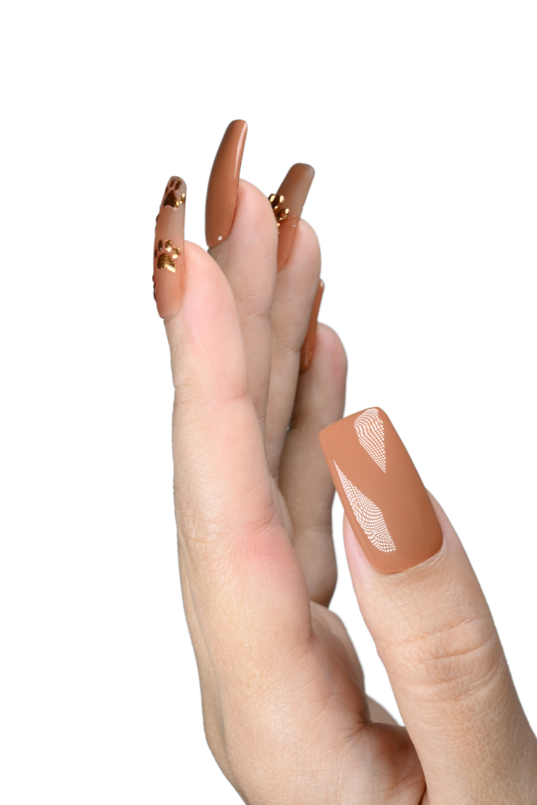 Kitty Cast