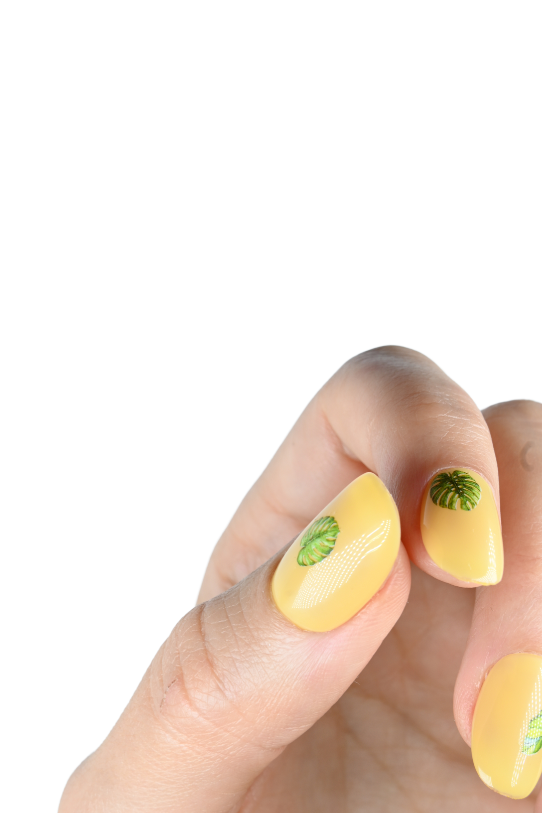 Mango Season