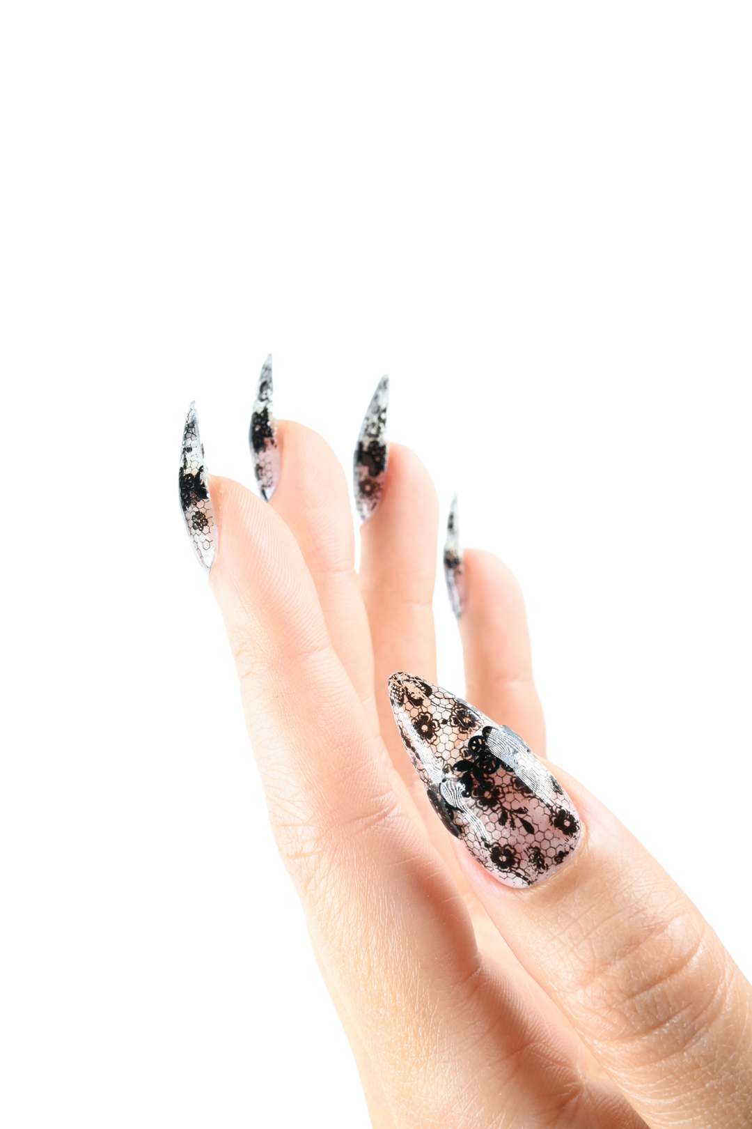 Dentelle Noire