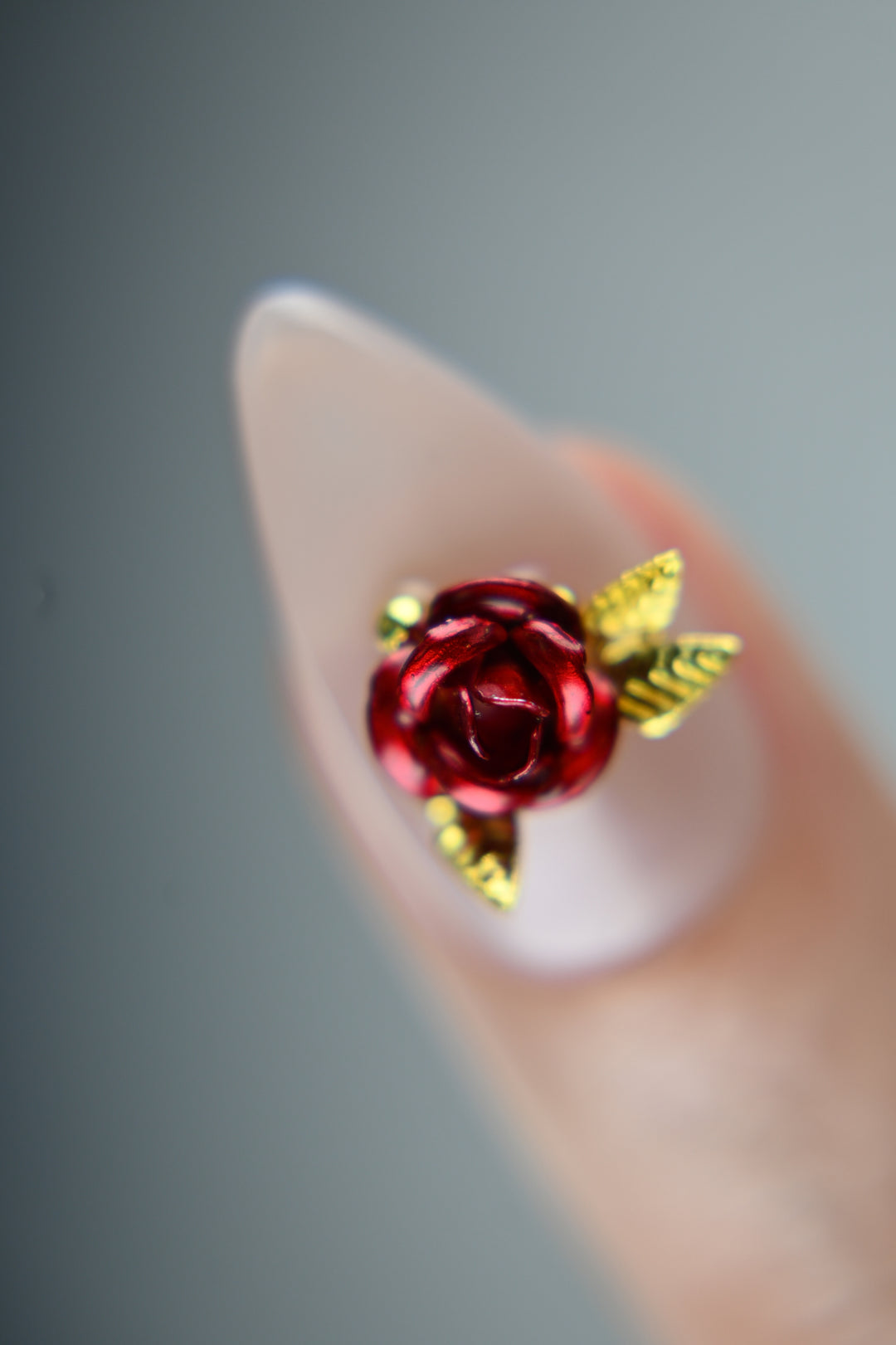 Desert Rose