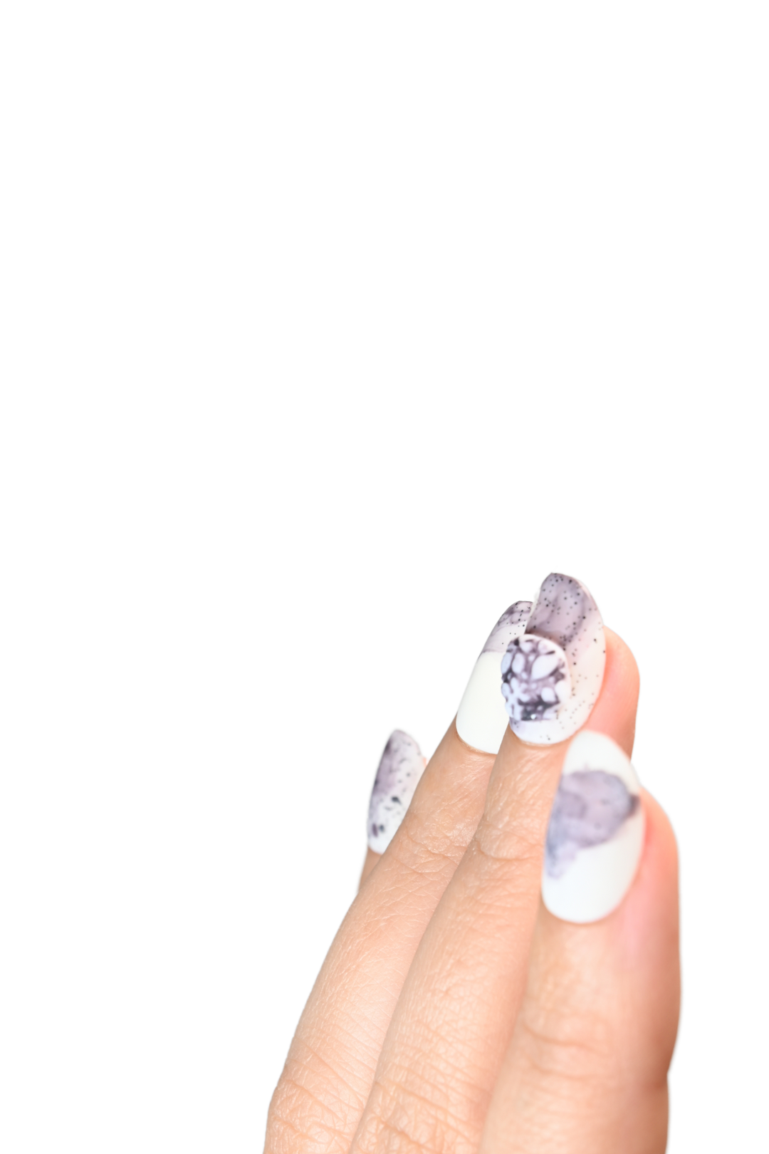 The Pet Rock